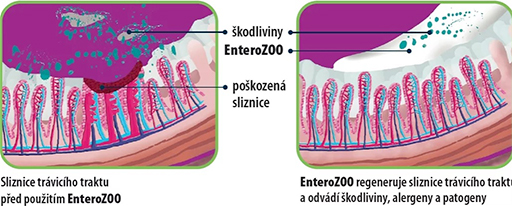 Složení EnteroZOO Složení EnteroZOO